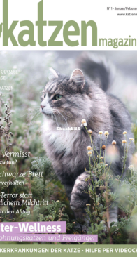 Katzen 1 - 01-02-2020 - German