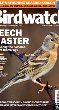 Birdwatch UK - Issue 376 - 10.2023 - English