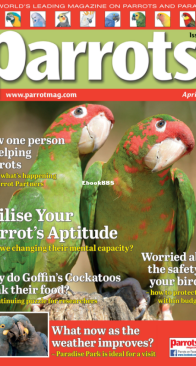 Parrots - Issue 315 - 04.2024 - English