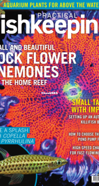 Practical Fishkeeping Magazine - 2020-06 - English