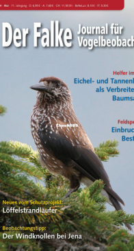 Der Falke – 05.2024 - German