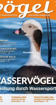 Vögel - Issue 59 – 4.2020 - German