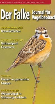 Der Falke – 04.2023 - German