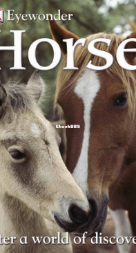 Horse - DK Eye Wonder - Caroline Stamps - English
