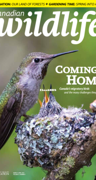 Canadian Wildlife 03-04. 2021 - English