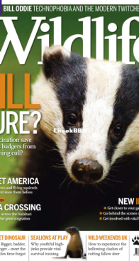 BBC Wildlife 2011 10 - English
