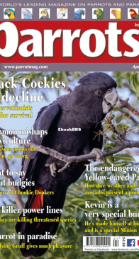 Parrots - Issue 291 - 04.2022 - English