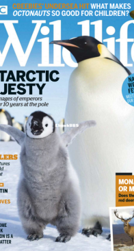 BBC Wildlife 2018 13 - English