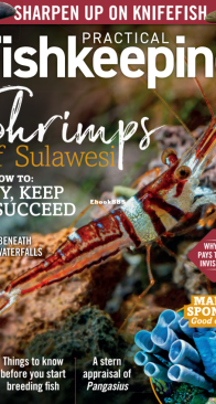 Practical Fishkeeping Magazine - 2022-04 - English