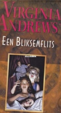 Een Bliksemflits - Hudson 2 - Virginia Andrews - Dutch