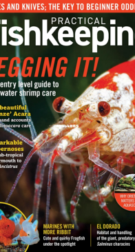 Practical Fishkeeping Magazine - 2021-02 - English