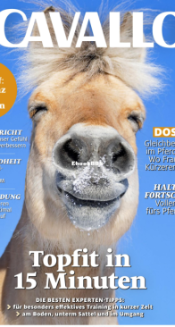 Cavallo - 02.2023 - German