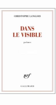 Dans Le Visible - Christophe Langlois - French