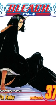 Bleach Colored 37 (of 74) - Viz 2011 - Tite Kubo - English