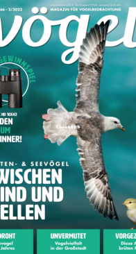 Vögel - Issue 66 – 2.2022 - German