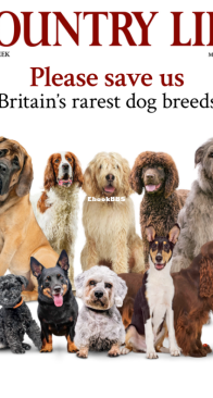 Country Life UK - 03.26.2025 - English