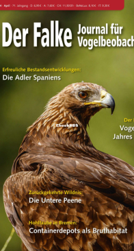 Der Falke – 04.2024 - German