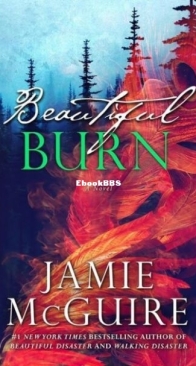 Beautiful Burn - The Maddox Brothers 4 - Jamie McGuire - English