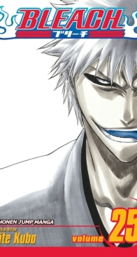 Bleach Colored 25 (of 74) - Viz 2008 - Tite Kubo - English