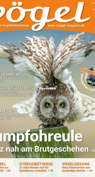 Vögel - Issue 57 – 2.2020 - German