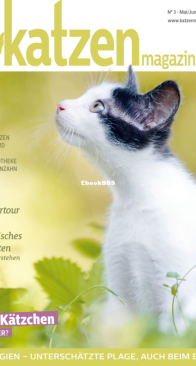 Katzen 3 - 05-06-2021 - German