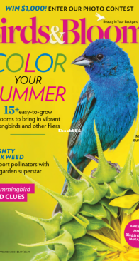 Birds and Blooms - 08-09.2023 - English