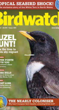 Birdwatch UK - Issue 394 - 04.2025 - English