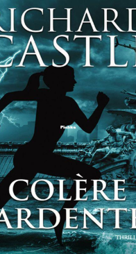 Colère Ardente - Nikki Heat T6 - Richard Castle - French