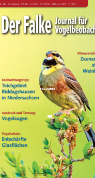 Der Falke – 05.2023 - German