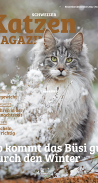 Katzen 6 - 11-12-2022 - German