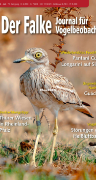 Der Falke – 07.2024 - German