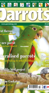 Parrots - Issue 286 - 10.2021 - English