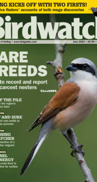 Birdwatch UK - Issue 372 - 06.2023 - English
