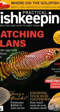 Practical Fishkeeping Magazine - 2023-11 - English
