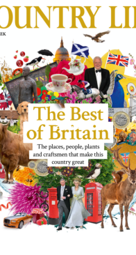 Country Life UK - 06.11.2025 - English