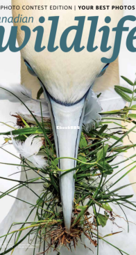 Canadian Wildlife 01-02. 2025 - English