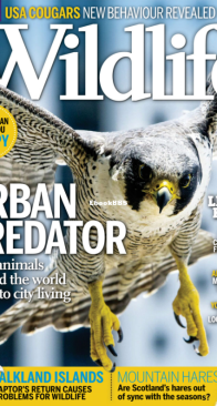 BBC Wildlife 2015 09 - English