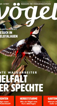 Vögel - Issue 64 – 4.2021 - German