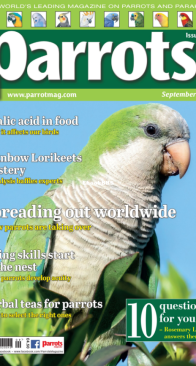 Parrots - Issue 308 - 09.2023 - English