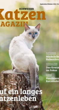 Katzen 09-10.2022 - German