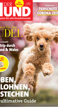 Der Hund - 06.2020 - German