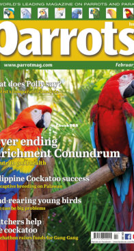 Parrots - Issue 301 - 02.2023 - English