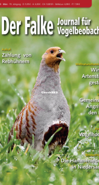 Der Falke – 03.2023 - German