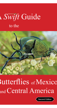 A Swift Guide to the Butterflies of Mexico and Central America - Jeffrey  Glassberg - English
