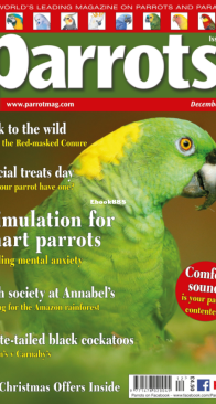 Parrots - Issue 287 - 12.2021 - English