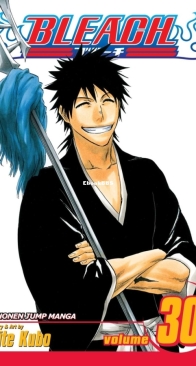 Bleach Colored 30 (of 74) - Viz 2010 - Tite Kubo - English