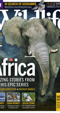 BBC Wildlife 2013 02 - English