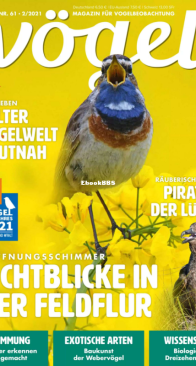 Vögel - Issue 61 – 2.2021 - German