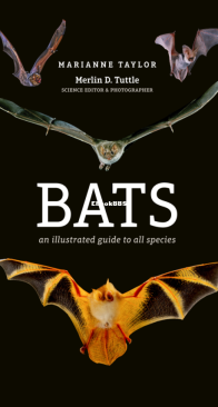 Bats an Illustrated Guide to All Species - Marianne Taylor - English