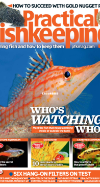 Practical Fishkeeping Magazine - 2017-06 - English